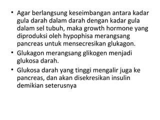 • Agar berlangsung keseimbangan antara kadar
gula darah dalam darah dengan kadar gula
dalam sel tubuh, maka growth hormone yang
diproduksi oleh hypophisa merangsang
pancreas untuk mensecresikan glukagon.
• Glukagon merangsang glikogen menjadi
glukosa darah.
• Glukosa darah yang tinggi mengalir juga ke
pancreas, dan akan disekresikan insulin
demikian seterusnya
 