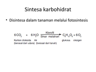 Sintesa karbohidrat
• Disintesa dalam tanaman melalui fotosintesis
 
