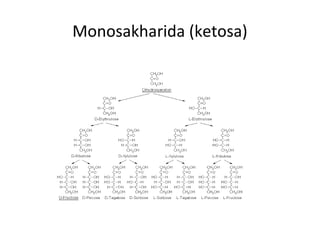 Monosakharida (ketosa)
 