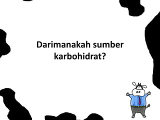 Darimanakah sumber
karbohidrat?
 