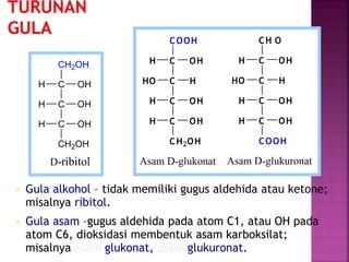 Gula alkohol – tidak memiliki gugus aldehida atau ketone;
misalnya ribitol.
 Gula asam –gugus aldehida pada atom C1, atau OH pada
atom C6, dioksidasi membentuk asam karboksilat;
misalnya asam glukonat, asam glukuronat.
CH2OH
C
C
C
CH2OH
H OH
H OH
H OH
D-ribitol
COOH
C
C
C
C
H OH
HO H
H OH
Asam D-glukonat Asam D-glukuronat
CH2OH
OHH
CH O
C
C
C
C
H OH
HO H
H OH
COOH
OHH
 