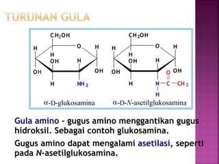 Gula amino - gugus amino menggantikan gugus
hidroksil. Sebagai contoh glukosamina.
Gugus amino dapat mengalami asetilasi, seperti
pada N-asetilglukosamina.
H O
OH
H
OH
H
NH 2H
OH
CH2OH
H
a-D-glukosamina
H O
OH
H
OH
H
NH
OH
CH2OH
H
a-D-N-asetilglukosamina
C CH 3
O
H
 