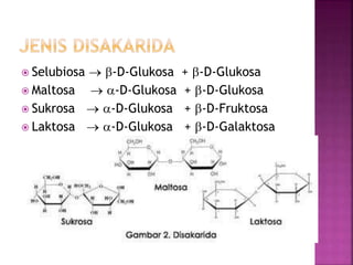  Selubiosa  b-D-Glukosa + b-D-Glukosa
 Maltosa  a-D-Glukosa + b-D-Glukosa
 Sukrosa  a-D-Glukosa + b-D-Fruktosa
 Laktosa  a-D-Glukosa + b-D-Galaktosa
 