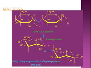 O
OH
H
O
OH
OH
CH2OH
*
H O OH
H
OH
OH
CH2OH
*1'
4
a
b
Ikatan a-1',4 glikosidik
HO
O
HO
O
OH
HOH2C
O
HO
H
OH
HOH2C
OH
1'
4
Karbon glikosidik
(b)
4-O-(aD-glukopiranosil)-bD-glukopiranosa
(Maltosa)
 
