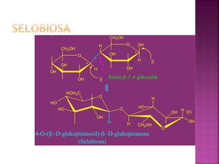 O
OH
o
OH
OH
CH2OH
*
H O OH
H
OH
OH
CH2OH
*
1'
4
b
b
Ikatan b-1',4 glikosidik
HO
O
HO
H
OH
HOH2C
O
CH2OH
O
1'
4
(b)
4-O-(bD-glukopiranosil)-bD-glukopiranosa
(Selubiosa)
H
OH
H
HO
H
H
OH
 