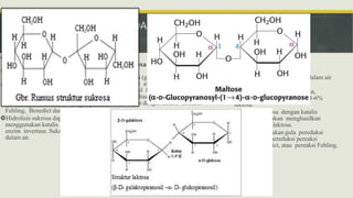 CONTOH DISAKARIDA
 Sukrosa (C12H22O11)
Hidrolisis sukrosa menghasilkan
glukosa dan fruktosa.
Sukrosa bukan gula pereduksi dalam
larutan air karena sukrosa tidak memiliki
gugus aldehid, dibuktikan dengan tidak
bereaksinya (mereduksi) dengan pereaksi
Fehling, Benedict dan Tollens.
Hidrolisis sukrosa dapat terjadi dengan
menggunakan katalis asam encer atau
enzim invertase. Sukrosa mudah larut
dalam air.
 Maltosa (C12H22O11)
Maltosa (gula gandum) tidak terdapat
bebas di alam, melainkan diperoleh
dari hasil hidrolisis amilum dengan
katalis diastase atau hasil hidrolisis
glikogen dengan katalis amilase.
Hidrolisis maltosa akan menghasilkan
dua satuan glukosa dengan
menggunakan katalis enzim maltase atau
katalis asam.
Maltosa merupakan gula pereduksi
karena dapat mereduksi pereaksi
Fehling, Benedict, atau Tollens
 Laktosa (C12H22O11)
Laktosa (gula susu) terdapat dalam air
susu.
ASI mengandung 5-8% laktosa,
sedangkan sapi mengandung 4-6%
laktosa.
Hidrolisis laktosa dengan katalis
enzim laktase akan menghasilkan
glukosa dan galaktosa.
Laktosa merupakan gula pereduksi
karena dapat mereduksi pereaksi
Fehling, Benedict, atau pereaksi Fehling.
 