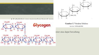  Karbohidrat yang mengandung banyak monosakarida dan mempunyai berat
molekul yang besar
 Hidrolisis polisakarida secara sempurna akan menghasilkan satu jenis
monosakarida
 Unit monosakarida dapat dihubungkan secara linier atau dapat bercabang
 Jenis Polisakarida : Pati dan Glikogen
 