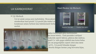 UJI KARBOHIDRAT
 Uji Molisch
Uji ini untuk semua jenis karbohidrat. Monosakarida, disakarida, dan polisakarida akan
memberikan hasil positif. Uji positif jika timbul cincin merah ungu yang merupakan
kondensasi antara furfural atau hidroksimetil furfural dengan a-naftol dalam pereaksi
molish.
 Uji Benedict
Uji Benedict adalah uji kimia untuk mengetahui kandungan gula (karbohidrat)
pereduksi (yang memiliki gugus aldehid atau keton bebas) . Gula pereduksi meliputi
semua jenis monosakarida dan beberapa disakarida seperti laktosa, glukosa dan maltosa.
Uji benedict berdasarkan reduksi Cu2+ menjadi Cu+ oleh gugus aldehid atau keton bebas
dalam suasana alkalis, biasanya ditambahkan zat pengompleks seperti sitrat atau tatrat
untuk mencegah terjadinya pengendapan CuCO3. Uji positif ditandai dengan
terbentuknya endapan merah bata, kadang disertai dengan larutan yang berwarna hijau,
merah, atau orange.
 