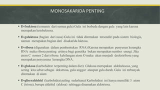 MONOSAKARIDA PENTING
 D-fruktosa (termanis dari semua gula) Gula ini berbeda dengan gula yang lain karena
merupakan ketoheksosa.
 D-galaktosa (bagian dari susu) Gula ini tidak ditemukan tersendiri pada sistem biologis,
namun merupakan bagian dari disakarida laktosa.
 D-ribosa (digunakan dalam pembentukan RNA) Karena merupakan penyusun kerangka
RNA maka ribosa penting artinya bagi genetika bukan merupakan sumber energi. Jika
atom C nomor 2 dari ribosa kehilangan atom O maka akan menjadi deoksiribosa yang
merupakan penyusuna kerangka DNA.
 D-glukosa (karbohidrat terpenting dalam diet) Glukosa merupakan aldoheksosa, yang
sering kita sebut sebagai dekstrosa, gula anggur ataupun gula darah. Gula ini terbanyak
ditemukan di alam
 D-gliseraldehid (karbohidrat paling sederhana) Karbohidrat ini hanya memiliki 3 atom
C (triosa), berupa aldehid (aldosa) sehingga dinamakan aldotriosa.
 