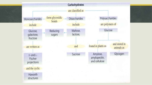 PPT Karbohidrat