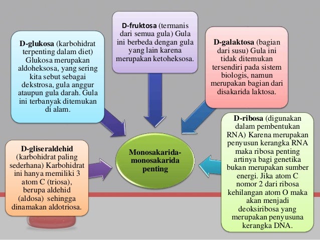 Karbohidrat Nahda Yuniarti Kimia 2016 Unj