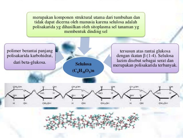 Biokimia Karbohidrat Uho