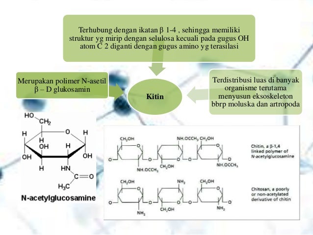BIOKIMIA KARBOHIDRAT UHO BIOKIMIA KARBOHIDRAT UHO