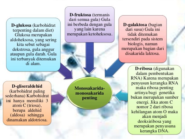 BIOKIMIA KARBOHIDRAT UHO