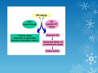 Karciom Grlica Materice Pptx