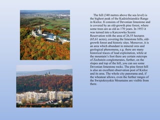 The hill (340 metres above the sea level) is
the highest peak of the Kadzielnianskie Range
in Kielce. It consists of Devonian limestone and
is covered by an old-growth pine forest, where
some trees are as old as 170 years. In 1953 it
was turned into a Karczowka Scenic
Reservation with the area of 26,55 hectares
(65,61 acres), covering the limestone hills, old-
growth forest and historic sites. Moreover, it is
an area which abundant in mineral ores and
geological phenomena, e.g. there are many
historical traces of lead exploitation, while at
the mountain’s foot there are certain outcrops
of Zechstein conglomerates, further, on the
slopes and top of the hill, you can see some
Devonian limestone rocks. The pine forest hill
is also an excellent observation post of Kielce
and its area. The whole city panorama and, if
the wheatear allows, even the further ranges of
the Swiętokrzyskie Mountains are visible from
there.
 