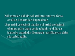 Miksomalar sıklıkla sol atriumu tutar ve fossa ovalisin kenarından kaynaklanır. Sağ atrial yerleşimli olanlar sol atrial yerleşimli olanlara göre daha geniş tabanlı ve daha az jelatinöz yapıdadır. Bunlarda kalsifikasyon daha sık tesbit edilir. 