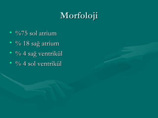 Morfoloji %75 sol atrium % 18 sağ atrium  % 4 sağ ventrikül  % 4 sol ventrikül 