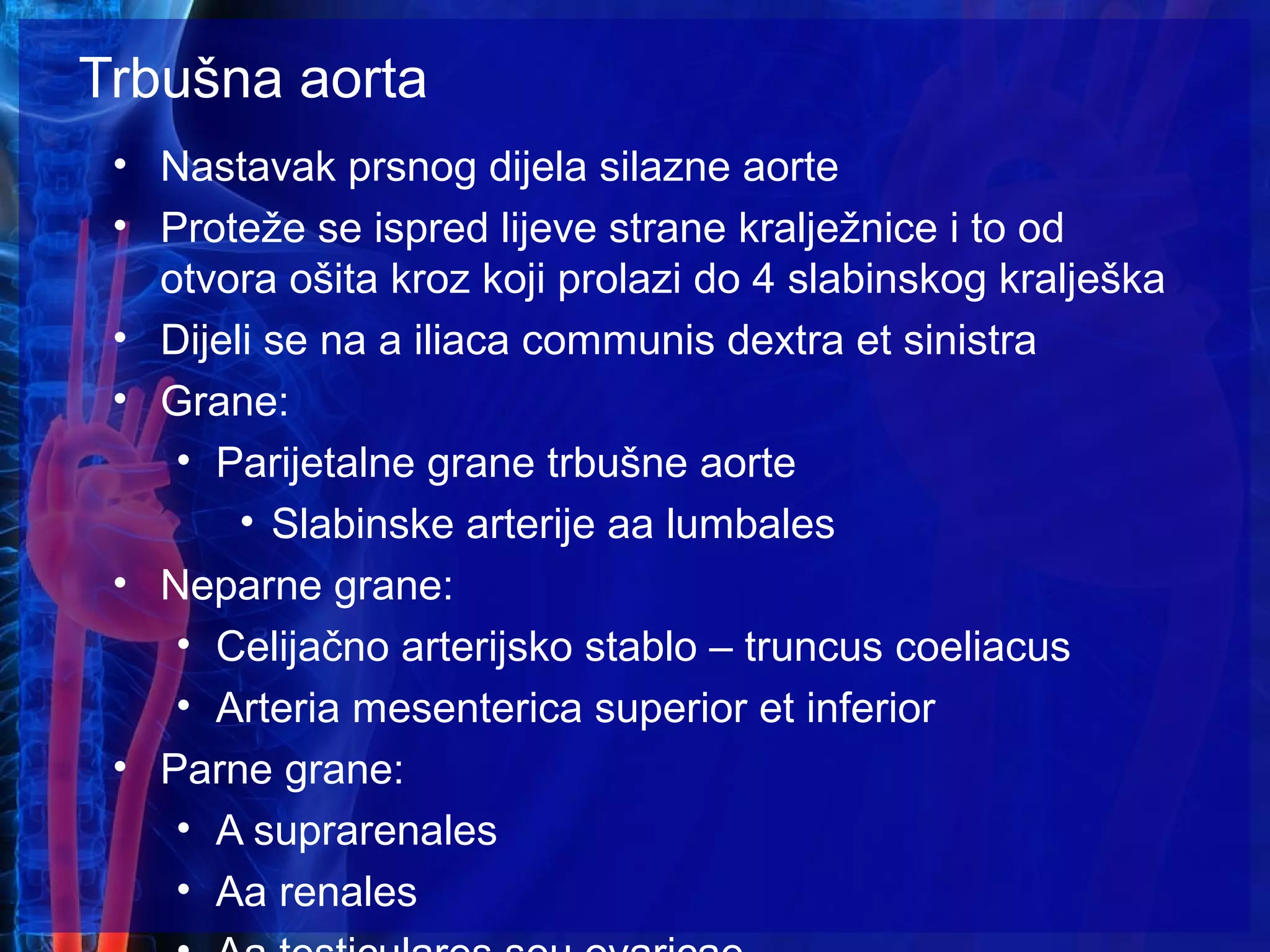Trbušna aorta
• Nastavak prsnog dijela silazne aorte
• Proteže se ispred lijeve strane kralježnice i to od
otvora ošita kroz koji prolazi do 4 slabinskog kralješka
• Dijeli se na a iliaca communis dextra et sinistra
• Grane:
• Parijetalne grane trbušne aorte
• Slabinske arterije aa lumbales
• Neparne grane:
• Celijačno arterijsko stablo – truncus coeliacus
• Arteria mesenterica superior et inferior
• Parne grane:
• A suprarenales
• Aa renales
 