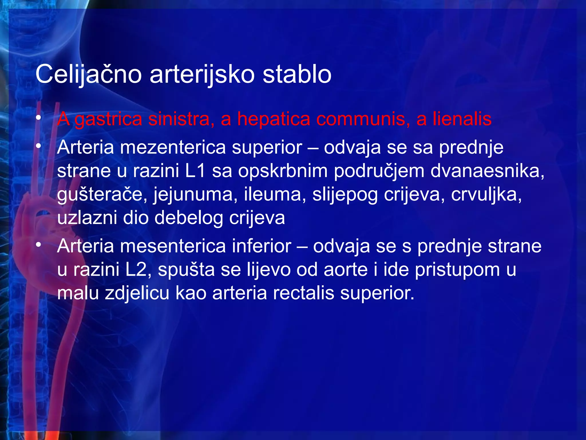 Celijačno arterijsko stablo
• A gastrica sinistra, a hepatica communis, a lienalis
• Arteria mezenterica superior – odvaja se sa prednje
strane u razini L1 sa opskrbnim područjem dvanaesnika,
gušterače, jejunuma, ileuma, slijepog crijeva, crvuljka,
uzlazni dio debelog crijeva
• Arteria mesenterica inferior – odvaja se s prednje strane
u razini L2, spušta se lijevo od aorte i ide pristupom u
malu zdjelicu kao arteria rectalis superior.
 