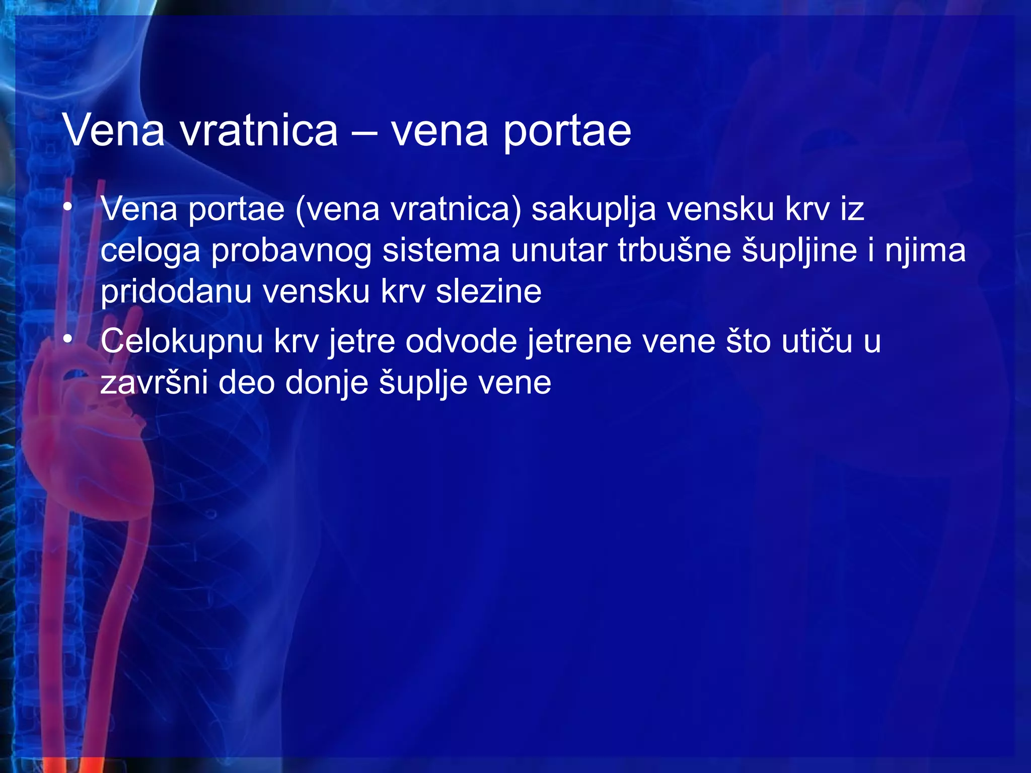 Vena vratnica – vena portae
• Vena portae (vena vratnica) sakuplja vensku krv iz
celoga probavnog sistema unutar trbušne šupljine i njima
pridodanu vensku krv slezine
• Celokupnu krv jetre odvode jetrene vene što utiču u
završni deo donje šuplje vene
 