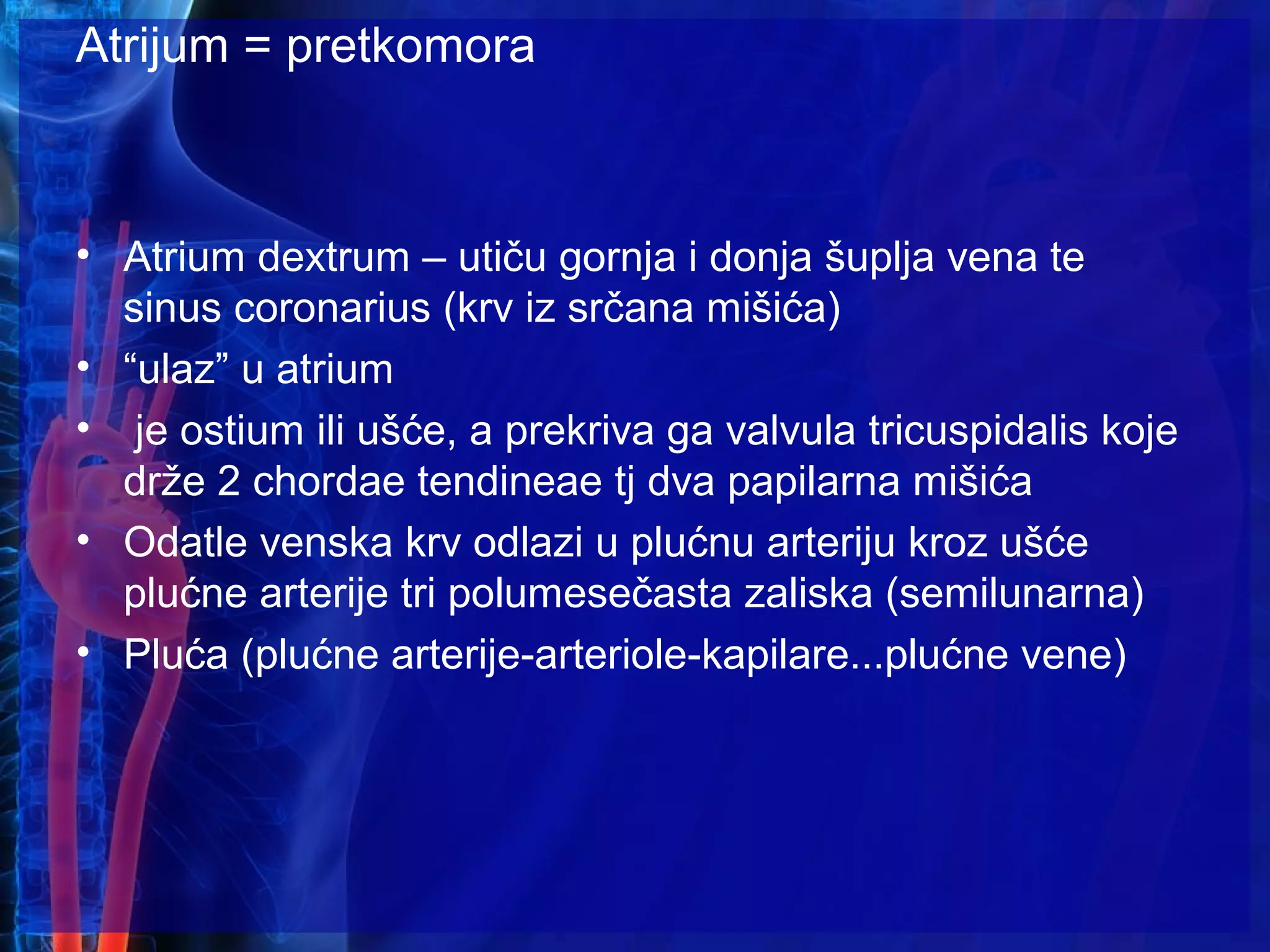 Atrijum = pretkomora
• Atrium dextrum – utiču gornja i donja šuplja vena te
sinus coronarius (krv iz srčana mišića)
• “ulaz” u atrium
• je ostium ili ušće, a prekriva ga valvula tricuspidalis koje
drže 2 chordae tendineae tj dva papilarna mišića
• Odatle venska krv odlazi u plućnu arteriju kroz ušće
plućne arterije tri polumesečasta zaliska (semilunarna)
• Pluća (plućne arterije-arteriole-kapilare...plućne vene)
 