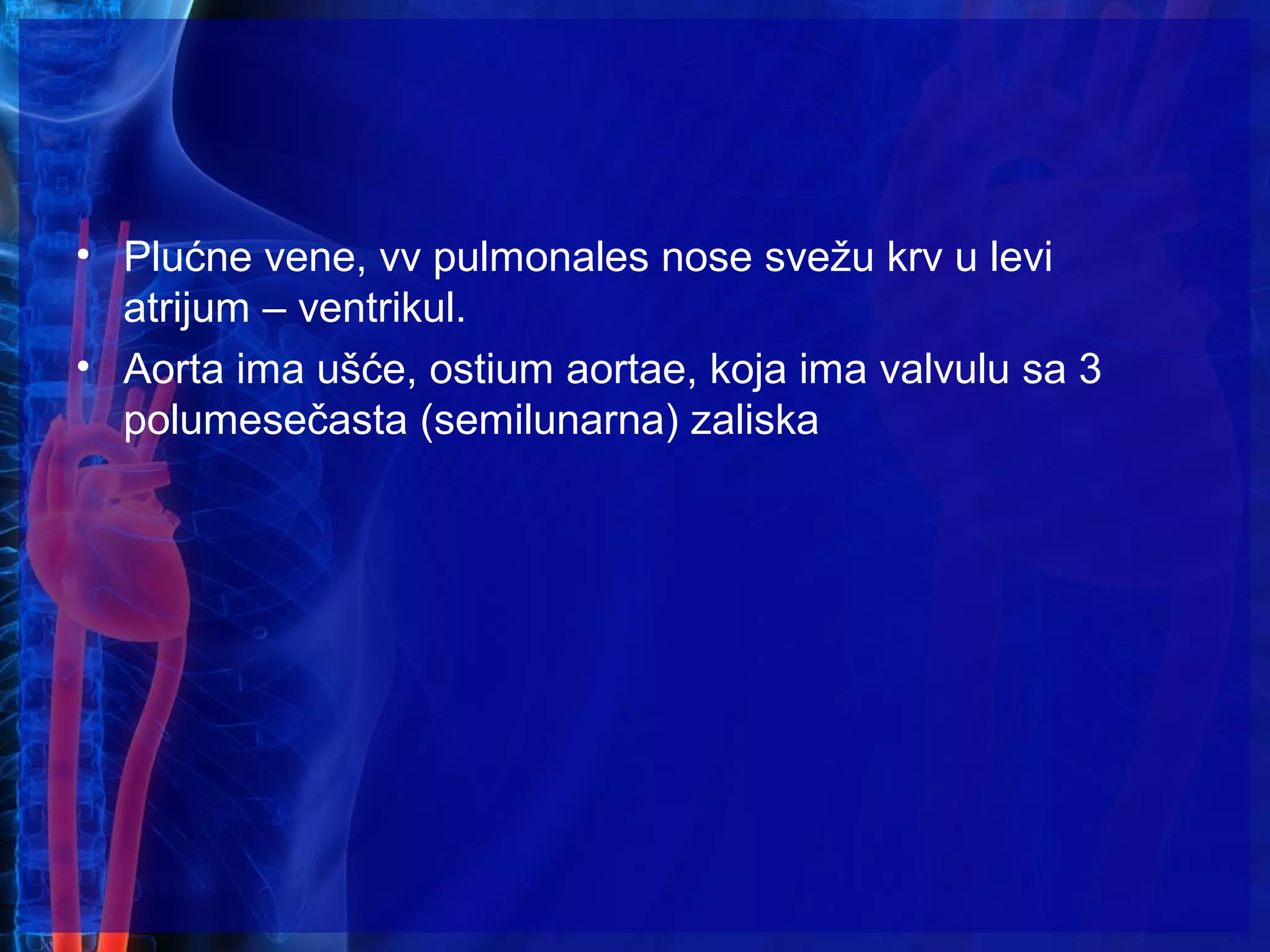 • Plućne vene, vv pulmonales nose svežu krv u levi
atrijum – ventrikul.
• Aorta ima ušće, ostium aortae, koja ima valvulu sa 3
polumesečasta (semilunarna) zaliska
 