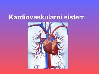 Kardiovaskularni sistem
 