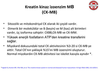 Kreatin kinaz izoenzim MB
                                           (CK-MB)

   •  Sitozolik ve mitokondriyal CK olarak iki çeşidi vardır.
   •  Dimerik bir moleküldür ve B (beyin) ve M (kas) alt birimleri
     vardır, üç izoforma sahiptir: CKBB,CK-MB ve CK-MM.
   • Yüksek enerjili fosfatların ATP’den kreatine transferini
     sağlar.
   • Miyokard dokusundaki total CK aktivitesinin %3-20 si CK-MB ye
     aittir. Total CK’nın yaklaşık %15’ini MB izoenzimi oluşturur.
     Normal miyokardın CK-MB aktivitesi ise iskelet kasıyla aynıdır *.



*Ingwall JS, Kramer MF, Fifer MA, et al. The creatine kinase system in normal and diseased human myocardium. N Engl J Med 1985; 313:1050-4.
 