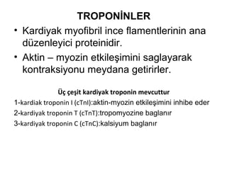 TROPONİNLER
• Kardiyak myofibril ince flamentlerinin ana
  düzenleyici proteinidir.
• Aktin – myozin etkileşimini saglayarak
  kontraksiyonu meydana getirirler.

               Üç çeşit kardiyak troponin mevcuttur
1-kardiak troponin I (cTnI):aktin-myozin etkileşimini inhibe eder
2-kardiyak troponin T (cTnT):tropomyozine baglanır
3-kardiyak troponin C (cTnC):kalsiyum baglanır
 