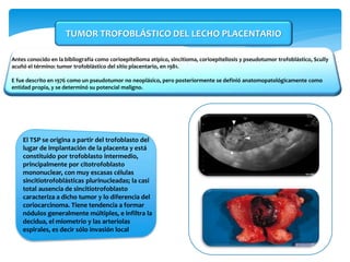 Antes conocido en la bibliografía como corioepitelioma atípico, sincitioma, corioepiteliosis y pseudotumor trofoblástico, Scully
acuñó el término: tumor trofoblástico del sitio placentario, en 1981.
E fue descrito en 1976 como un pseudotumor no neoplásico, pero posteriormente se definió anatomopatológicamente como
entidad propia, y se determinó su potencial maligno.
TUMOR TROFOBLÁSTICO DEL LECHO PLACENTARIO
El TSP se origina a partir del trofoblasto del
lugar de implantación de la placenta y está
constituido por trofoblasto intermedio,
principalmente por citotrofoblasto
mononuclear, con muy escasas células
sincitiotrofoblásticas plurinucleadas; la casi
total ausencia de sincitiotrofoblasto
caracteriza a dicho tumor y lo diferencia del
coriocarcinoma. Tiene tendencia a formar
nódulos generalmente múltiples, e infiltra la
decidua, el miometrio y las arteriolas
espirales, es decir sólo invasión local
 