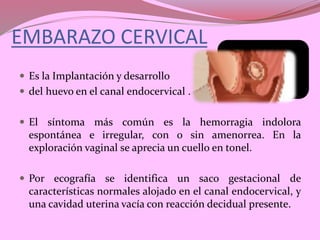 EMBARAZO CERVICAL
 Es la Implantación y desarrollo
 del huevo en el canal endocervical .
 El síntoma más común es la hemorragia indolora
espontánea e irregular, con o sin amenorrea. En la
exploración vaginal se aprecia un cuello en tonel.
 Por ecografía se identifica un saco gestacional de
características normales alojado en el canal endocervical, y
una cavidad uterina vacía con reacción decidual presente.
 