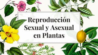 Reproducción
Sexual y Asexual
en Plantas
 