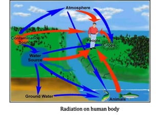 Radiation on human body
 