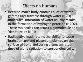 Effects on Humans…
• Because man's body contains a lot of water,
gamma rays traverse through water (H2O)
molecules. Ionization of water usually results
in the formation of hydrogen peroxide (H2O2).
These molecules can attack a biomolecule and
'denature' (= kill) it.
• Radioactive lead, retains the ability to cause
brain damage and plutonium clumps on the
surface of bone, delivering a concentrated
dose of alpha radiation to surrounding cells.
 