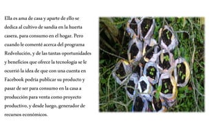 Ella esama de casayapartede ellose
dedicaalcultivode sandíaenlahuerta
casera,para consumoenelhogar.Pero
cuandole comentéacerca del programa
Redvolución,ydelastantasoportunidades
ybeneficiosqueofrecela tecnologíasele
ocurriólaideadequeconunacuentaen
Facebookpodríapublicarsuproductoy
pasardeserparaconsumoenla casaa
producciónpara ventacomoproyecto
productivo,ydesdeluego,generadorde
recursoseconómicos.
 