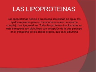 LAS LIPOPROTEINAS
Las lipoproteínas debido a su escasa solubilidad en agua, los
lípidos requieren para su transporte en suero un sistema
complejo: las lipoproteínas. Todas las proteínas involucradas en
este transporte son globulinas con excepción de la que participa
en el transporte de los ácidos grasos, que es la albúmina

 