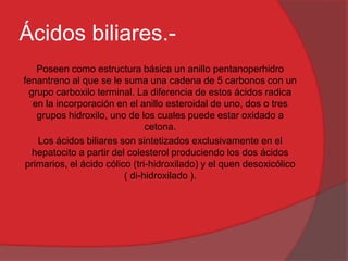 Ácidos biliares.Poseen como estructura básica un anillo pentanoperhidro
fenantreno al que se le suma una cadena de 5 carbonos con un
grupo carboxilo terminal. La diferencia de estos ácidos radica
en la incorporación en el anillo esteroidal de uno, dos o tres
grupos hidroxilo, uno de los cuales puede estar oxidado a
cetona.
Los ácidos biliares son sintetizados exclusivamente en el
hepatocito a partir del colesterol produciendo los dos ácidos
primarios, el ácido cólico (tri-hidroxilado) y el quen desoxicólico
( di-hidroxilado ).

 