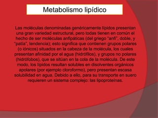 Metabolismo lipídico
Las moléculas denominadas genéricamente lípidos presentan
una gran variedad estructural, pero todas tienen en común el
hecho de ser moléculas anfipáticas (del griego “anfi”, doble, y
“patía”, tendencia); esto significa que contienen grupos polares
(o iónicos) situados en la cabeza de la molécula, los cuales
presentan afinidad por el agua (hidrófilos), y grupos no polares
(hidrófobos), que se sitúan en la cola de la molécula. De este
modo, los lípidos resultan solubles en disolventes orgánicos
apolares (por ejemplo cloroformo), pero presentan escasa
solubilidad en agua. Debido a ello, para su transporte en suero
requieren un sistema complejo: las lipoproteínas.

 