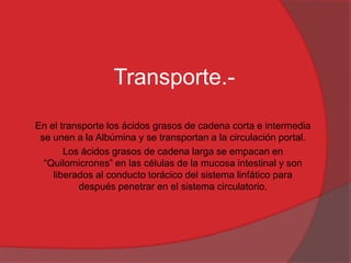 Transporte.En el transporte los ácidos grasos de cadena corta e intermedia
se unen a la Albúmina y se transportan a la circulación portal.
Los ácidos grasos de cadena larga se empacan en
“Quilomicrones” en las células de la mucosa intestinal y son
liberados al conducto torácico del sistema linfático para
después penetrar en el sistema circulatorio.

 