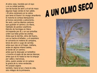 Al olmo viejo, hendido por el rayo y en su mitad podrido,  con las lluvias de abril y el sol de mayo algunas hojas verdes le han salido. ¡ El olmo centenario en la colina  que lame el Duero! Un musgo amarillento le mancha la corteza blanquecina al tronco carcomido y polvoriento. No será, cual los álamos cantores que guardan el camino y la ribera,  habitado de pardos ruiseñores. Ejército de hormigas en hilera va trepando por él, y en sus entrañas urden sus telas grises las arañas. Antes que te derribe, olmo del Duero, con su hacha el leñador, y el carpintero te convierta en melena de campana,  lanza de carro o yugo de carreta; antes que rojo en el hogar, mañana,  ardas en alguna mísera caseta,  al borde de un camino; antes que te descuaje un torbellino y tronche el soplo de las sierras blancas; antes que el río hasta la mar te empuje por valles y barrancas, olmo, quiero anotar en mi cartera la gracia de tu rama verdecida. Mi corazón espera también, hacia la luz y hacia la vida, otro milagro de la primavera. A UN OLMO SECO 