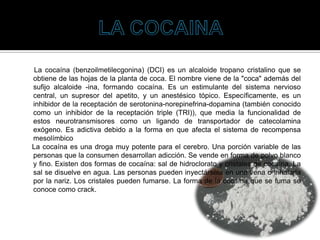 La cocaína (benzoilmetilecgonina) (DCI) es un alcaloide tropano cristalino que se
obtiene de las hojas de la planta de coca. El nombre viene de la "coca" además del
sufijo alcaloide -ina, formando cocaína. Es un estimulante del sistema nervioso
central, un supresor del apetito, y un anestésico tópico. Específicamente, es un
inhibidor de la receptación de serotonina-norepinefrina-dopamina (también conocido
como un inhibidor de la receptación triple (TRI)), que media la funcionalidad de
estos neurotransmisores como un ligando de transportador de catecolamina
exógeno. Es adictiva debido a la forma en que afecta el sistema de recompensa
mesolímbico
La cocaína es una droga muy potente para el cerebro. Una porción variable de las
personas que la consumen desarrollan adicción. Se vende en forma de polvo blanco
y fino. Existen dos formas de cocaína: sal de hidroclorato y cristales de cocaína. La
sal se disuelve en agua. Las personas pueden inyectársela en una vena o inhalarla
por la nariz. Los cristales pueden fumarse. La forma de la cocaína que se fuma se
conoce como crack.
 