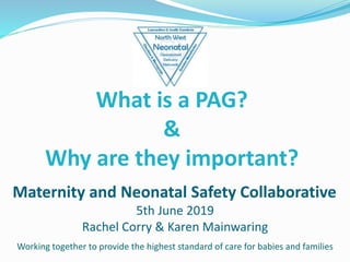 Maternity and Neonatal Safety Collaborative
5th June 2019
Rachel Corry & Karen Mainwaring
Working together to provide the highest standard of care for babies and families
What is a PAG?
&
Why are they important?
 