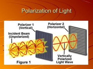 Polarization of Light

18

 
