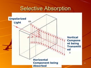 Selective Absorption
Unpolarized
Light

Vertical
Compone
nt being
Transmitt
ed

Horizontal
Component being
Absorbed

19

 