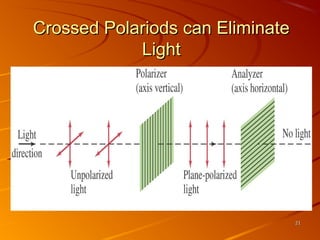 Crossed Polariods can Eliminate
Light

21

 