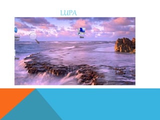 LUPA 
 