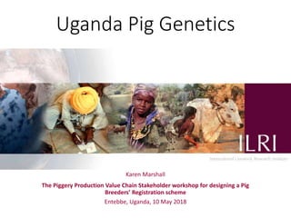 Uganda Pig Genetics
Karen Marshall
The Piggery Production Value Chain Stakeholder workshop for designing a Pig
Breeders’ Registration scheme
Entebbe, Uganda, 10 May 2018
 