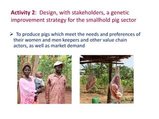   Uganda Pig Genetics