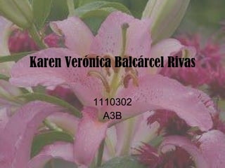 Karen Verónica Balcárcel Rivas 1110302 A3B 
